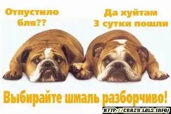 выбирайте шмаль разборчиво