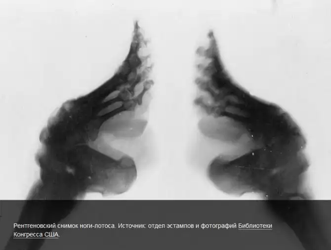 Как украшают себя женщины в разных странах