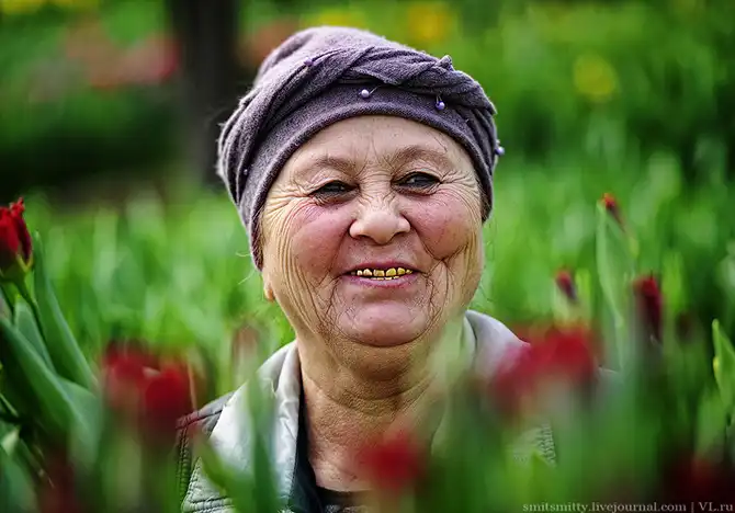 Как выращивают тюльпаны в пригороде Владивостока