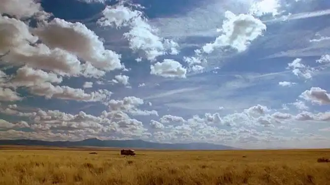 Операторские “фишки” Майкла Словиса