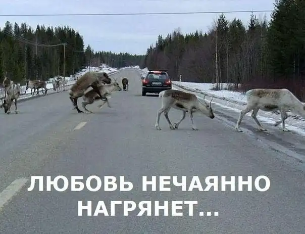 Разнообразная подборка =) Доброго времени суток!