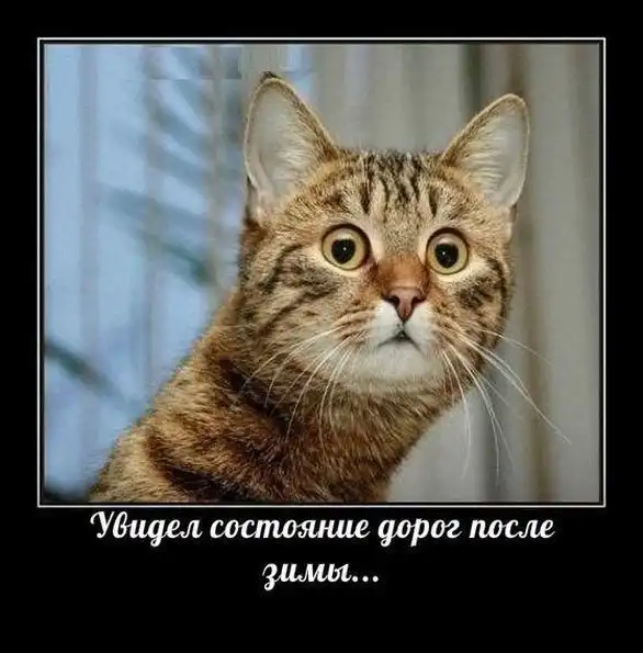 Подборка автоприколов.