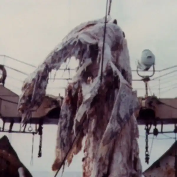 Рептилии - защита, нападение и их доисторические предки