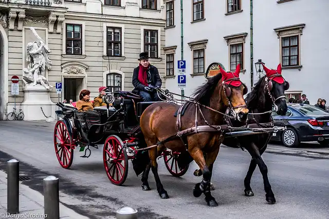 Прогулка по Вене