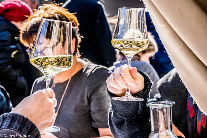 Прогулка по Вене