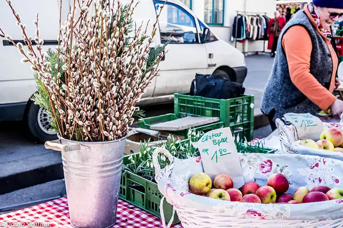 Прогулка по Вене