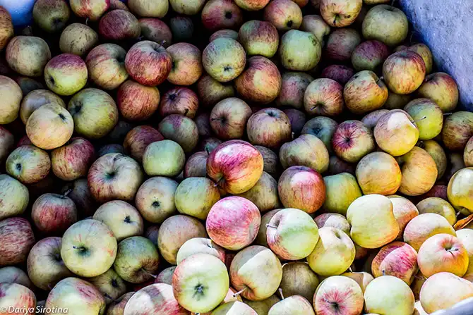 Прогулка по Вене