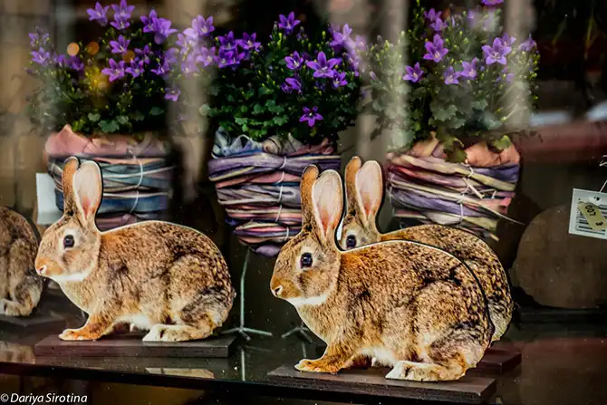 Прогулка по Вене