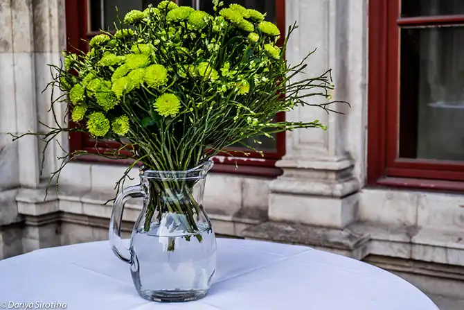 Прогулка по Вене