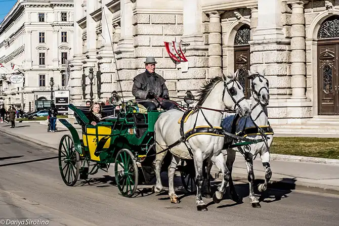 Прогулка по Вене