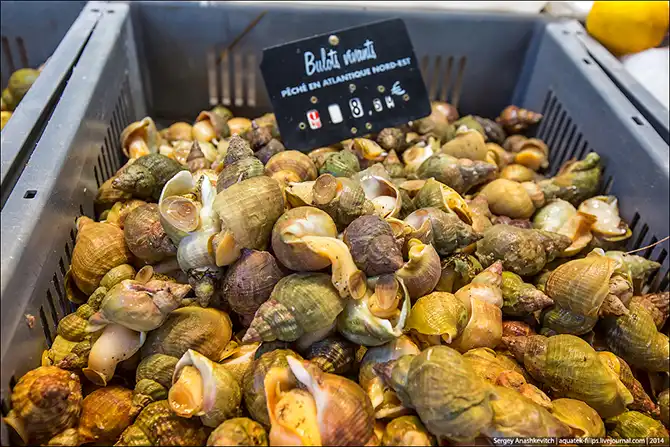 Рыбный рынок на берегу Ла-Манша