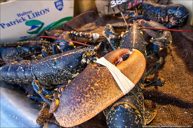 Рыбный рынок на берегу Ла-Манша