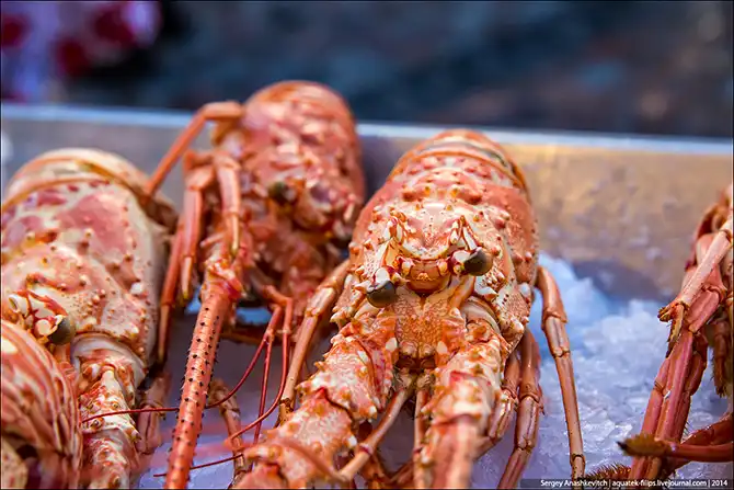 Рыбный рынок на берегу Ла-Манша