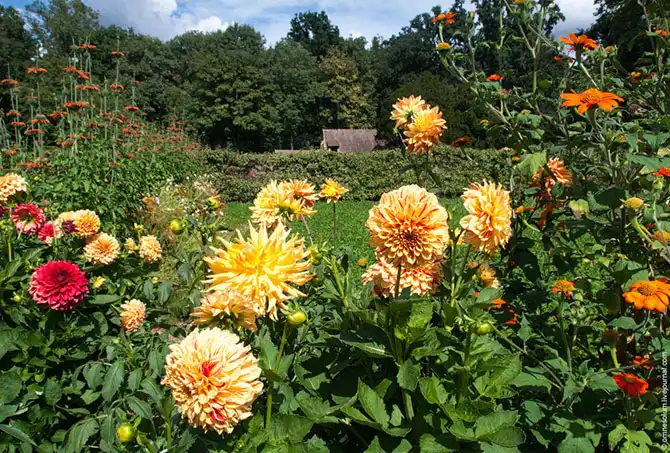 Прогулка по лучшему саду-огороду в окрестностях Парижа