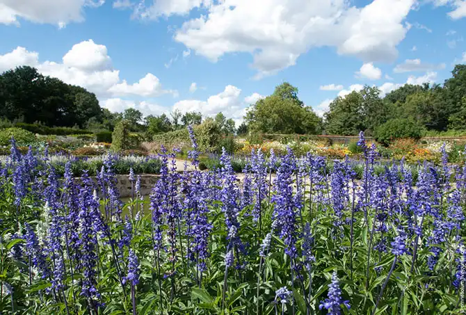 Прогулка по лучшему саду-огороду в окрестностях Парижа