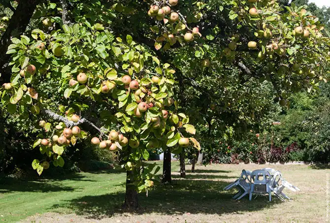Прогулка по лучшему саду-огороду в окрестностях Парижа