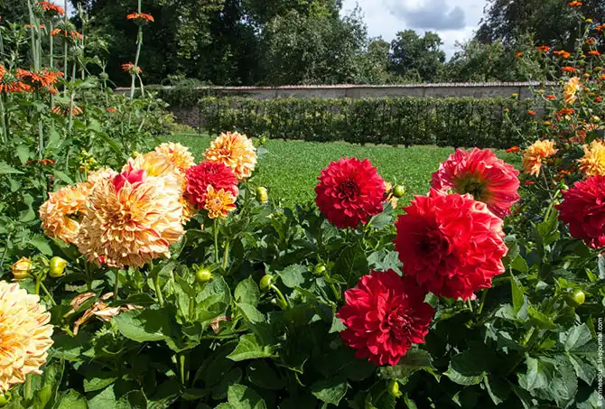Прогулка по лучшему саду-огороду в окрестностях Парижа