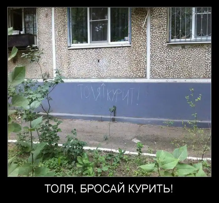 Картинки в черной рамке (05.03.14)