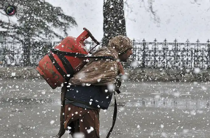 Неделя в фотографиях