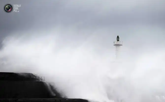 Неделя в фотографиях