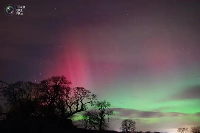 Неделя в фотографиях