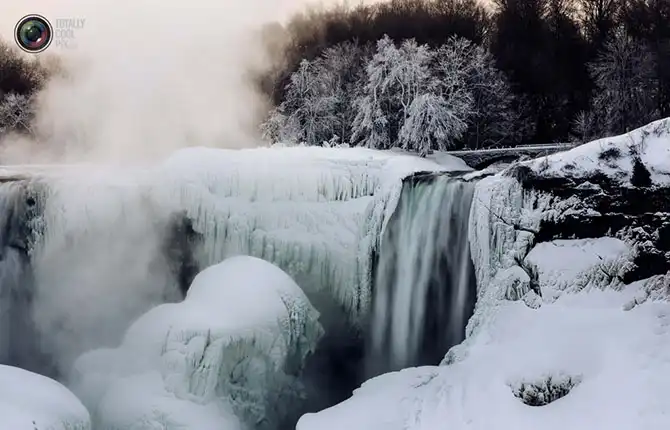 Неделя в фотографиях