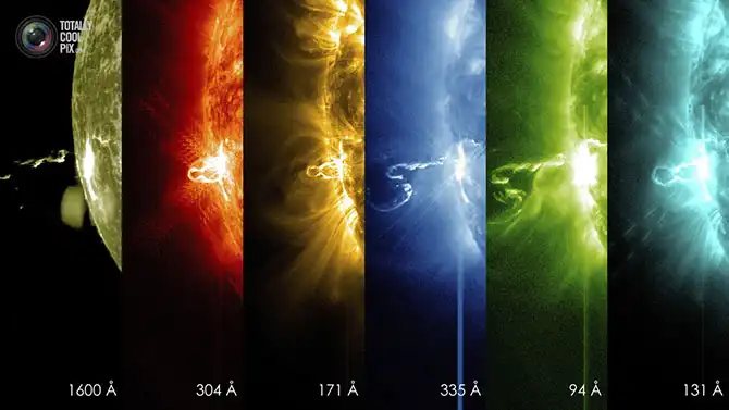 Неделя в фотографиях