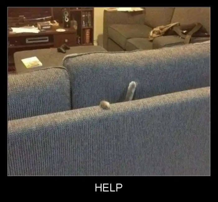 Картинки в черной рамке (04.03.14)