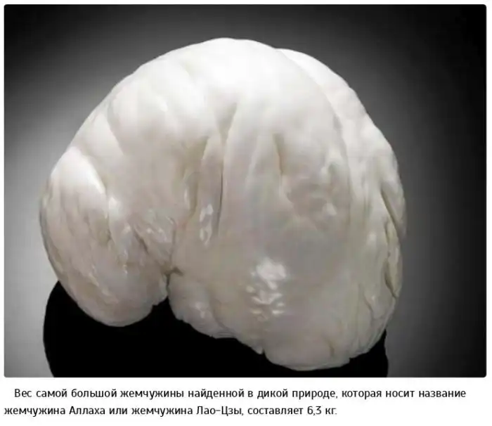 Факты о драгоценностях и драгоценных камнях