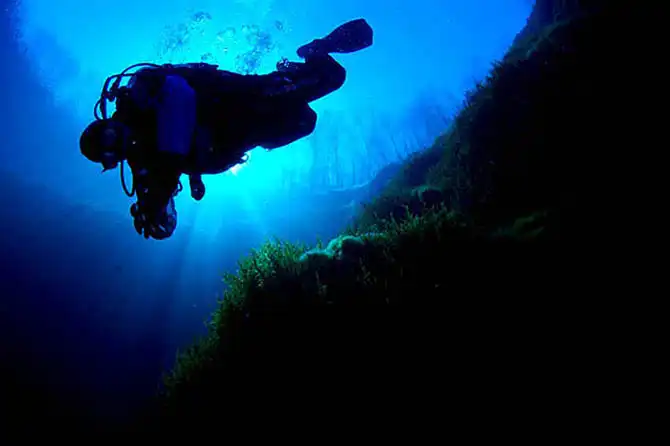 Подводные фотографии Вячеслава Плотникова