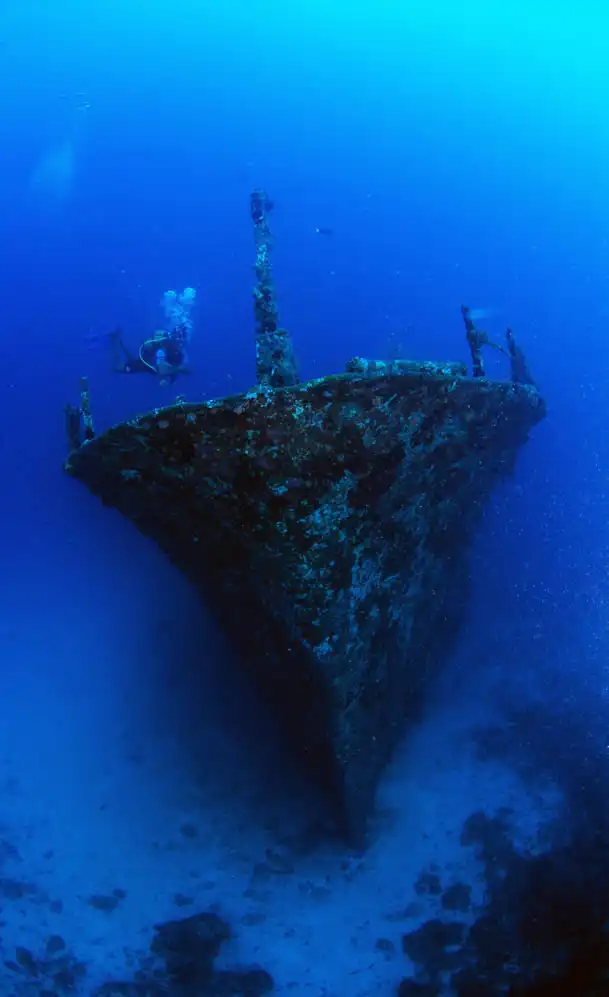Подводные фотографии Вячеслава Плотникова