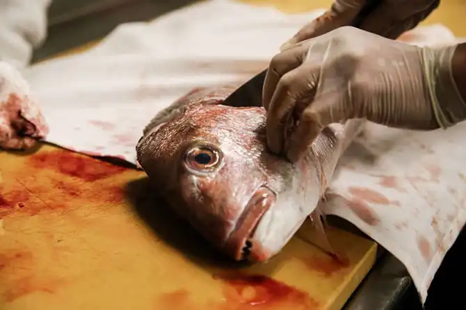 Какими качествами и навыками должен обладать суши-шеф