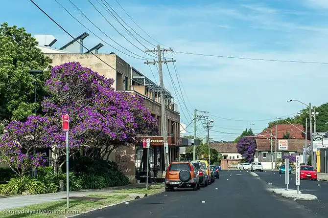 Прогулка по спальным районам Австралии