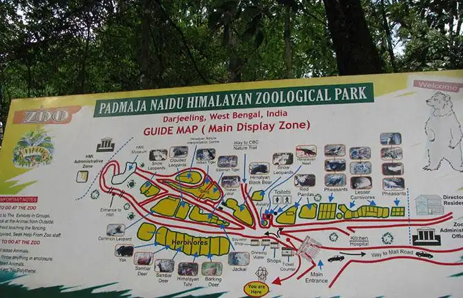 Самые необычные зоопарки