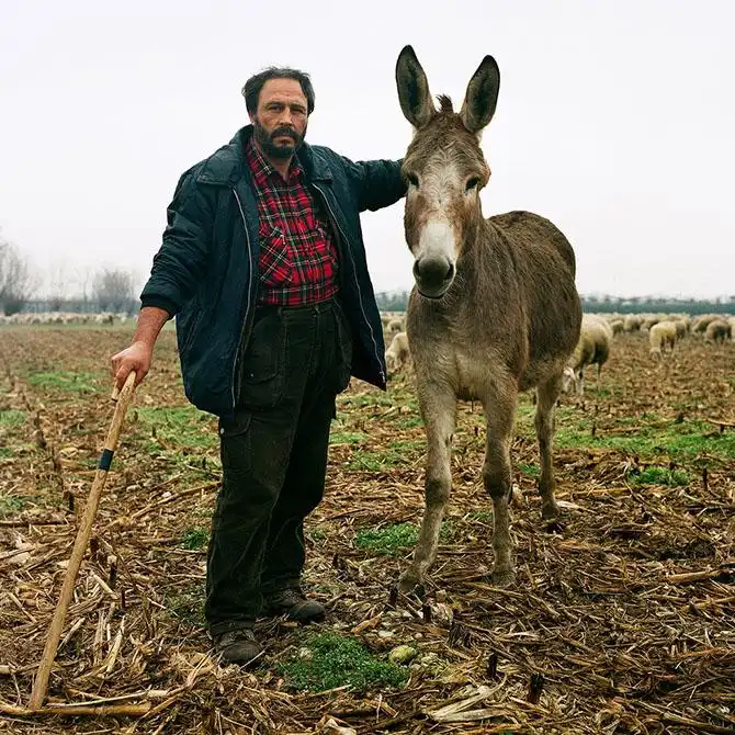 Простые итальянцы