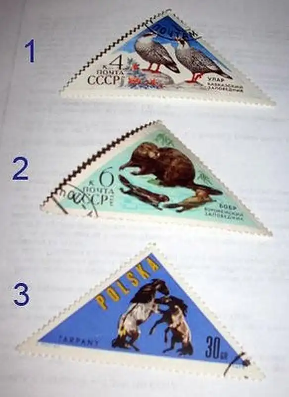 Что копили и собирали дети CCCP