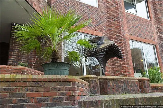 Прогулка по весеннему Лондону