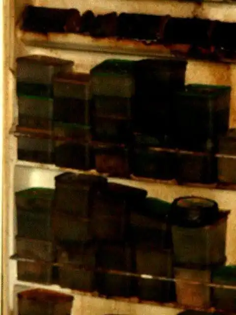 Открыл холодильник, который сломался пять лет назад