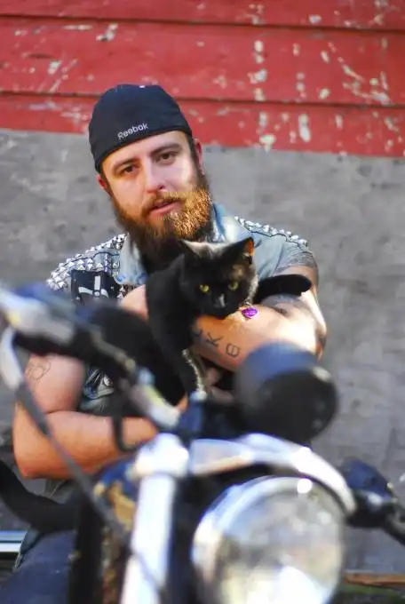 Металлисты и их кошки