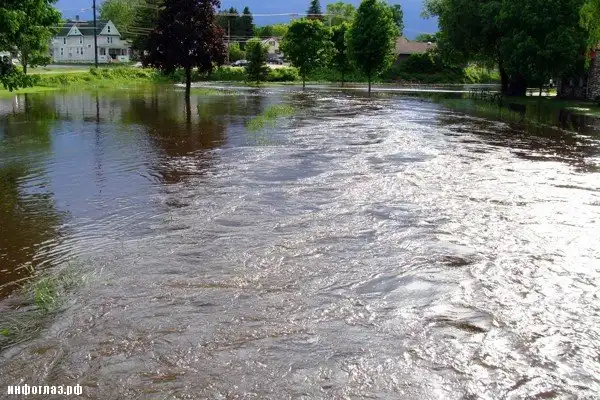 Перейти Рубикон