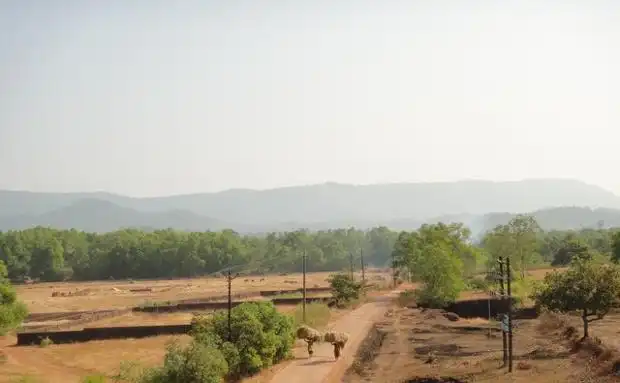 Повседневная жизнь сельских жителей в Индии