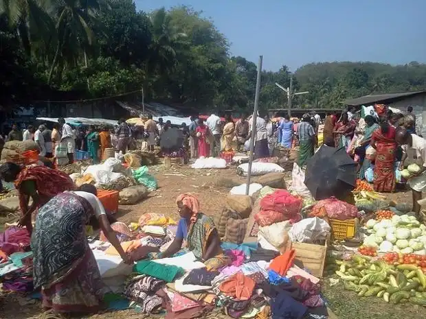 Повседневная жизнь сельских жителей в Индии