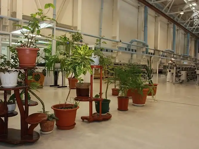 Как в Новосибирске делают ядерное топливо