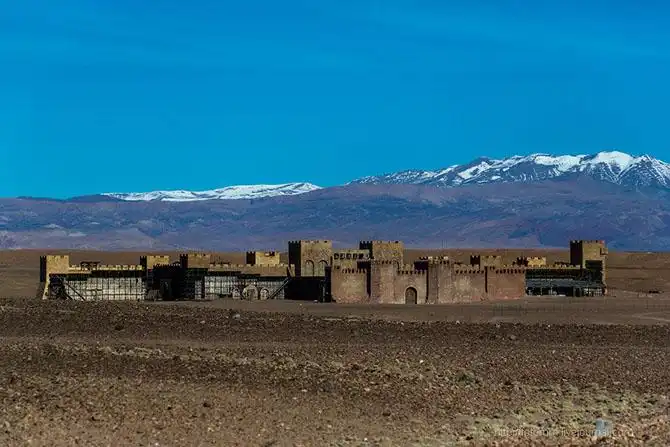 Бутафорский Голливуд и козы на деревьях