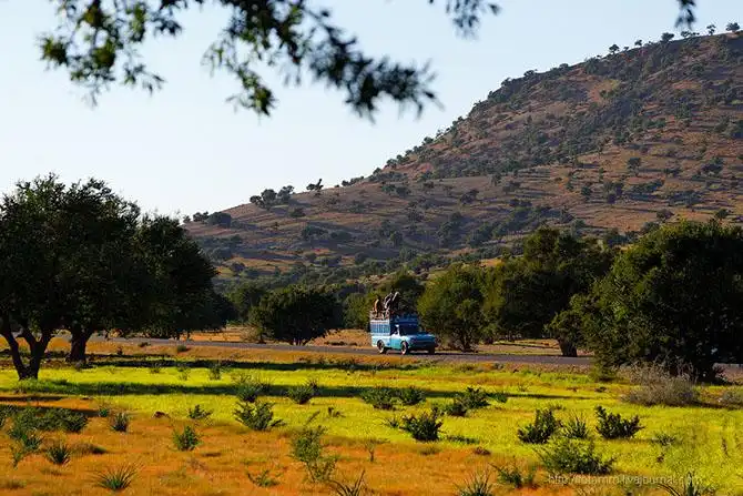 Бутафорский Голливуд и козы на деревьях