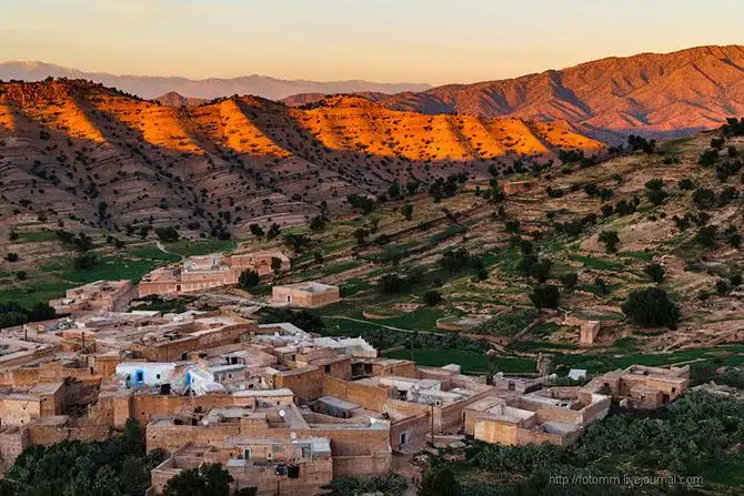 Бутафорский Голливуд и козы на деревьях