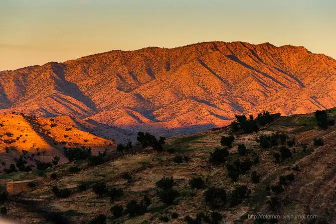 Бутафорский Голливуд и козы на деревьях