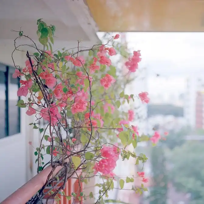 Прогулка по спальным районам самого яркого города Азии