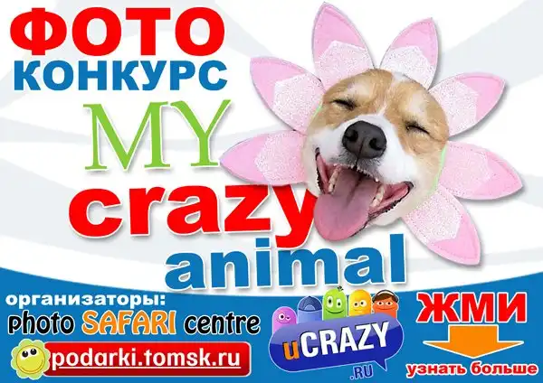 Фотоконкурс "My CRAZY animal!" (Победители)