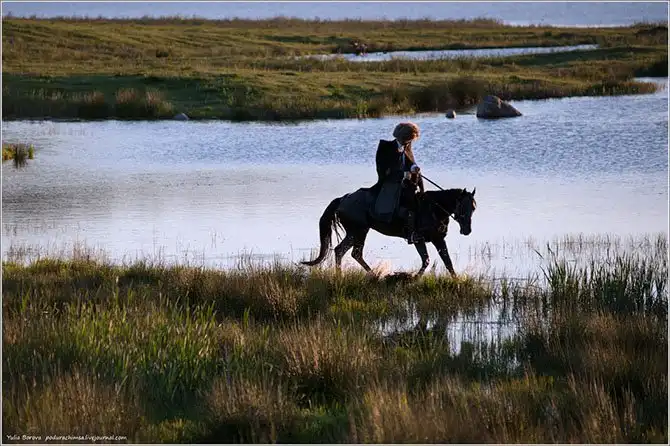 Путешествие в край волшебных скакунов